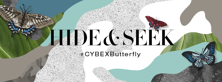 CYB_16_web_fbhe_EU_PriamButterfly