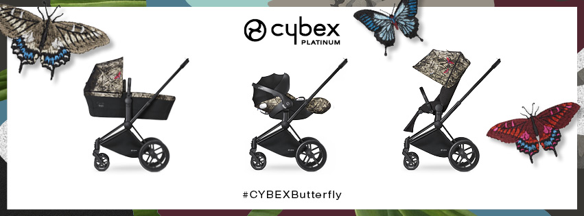 CYB_16_web_fbhe_EU_PriamButterfly3