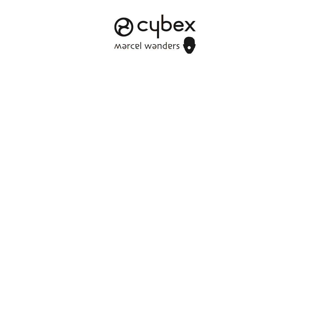 CYB_17_anim_EU_hausschwein_christmas_lossy