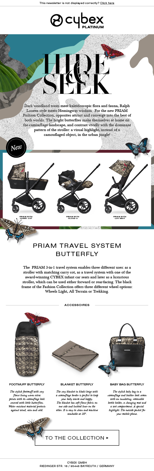 Priam_Butterfly_newsletter_EN