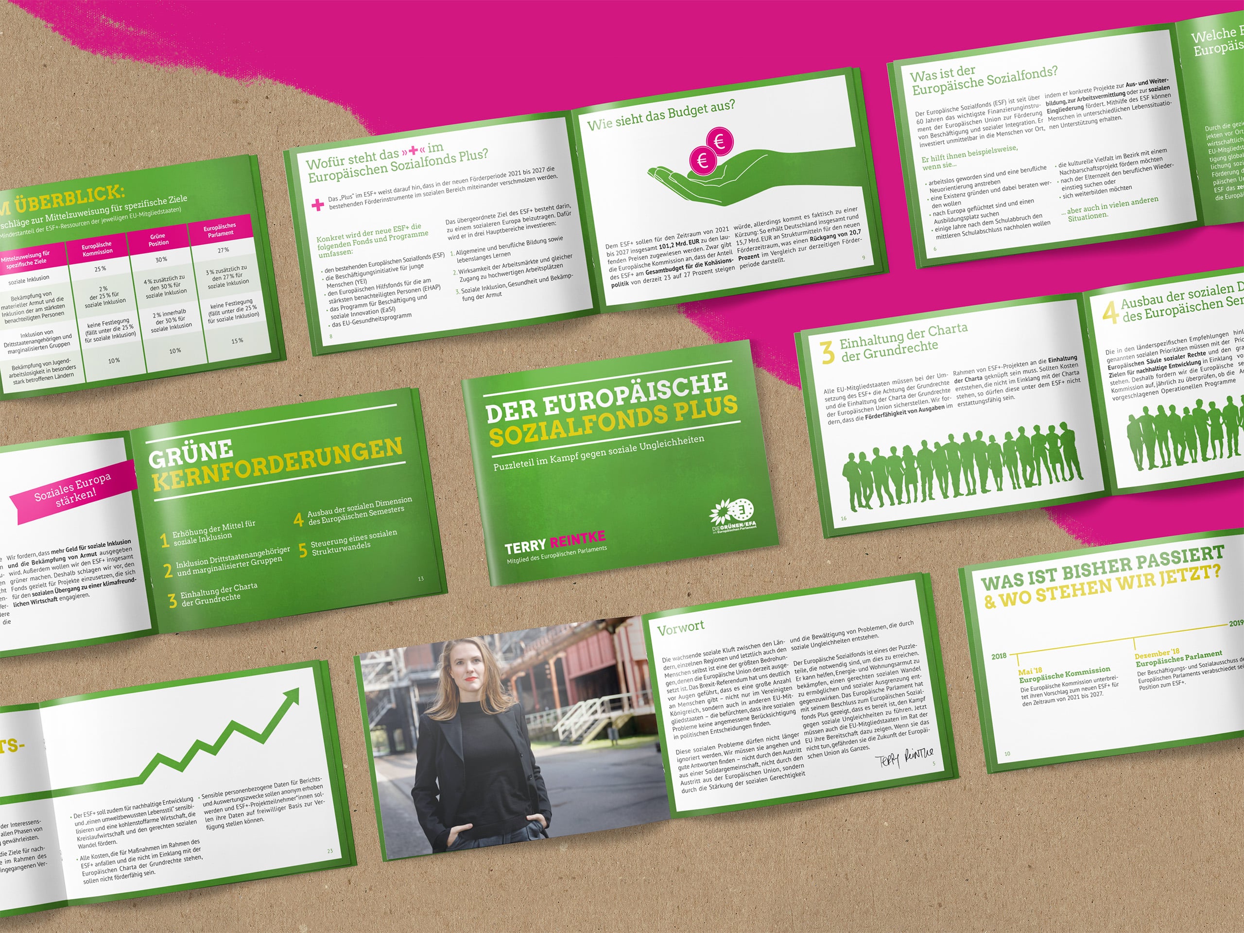 The designed brochure layout spread out, so all pages and illustrations are visible