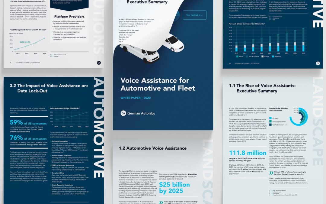 White Paper Layout – German Autolabs